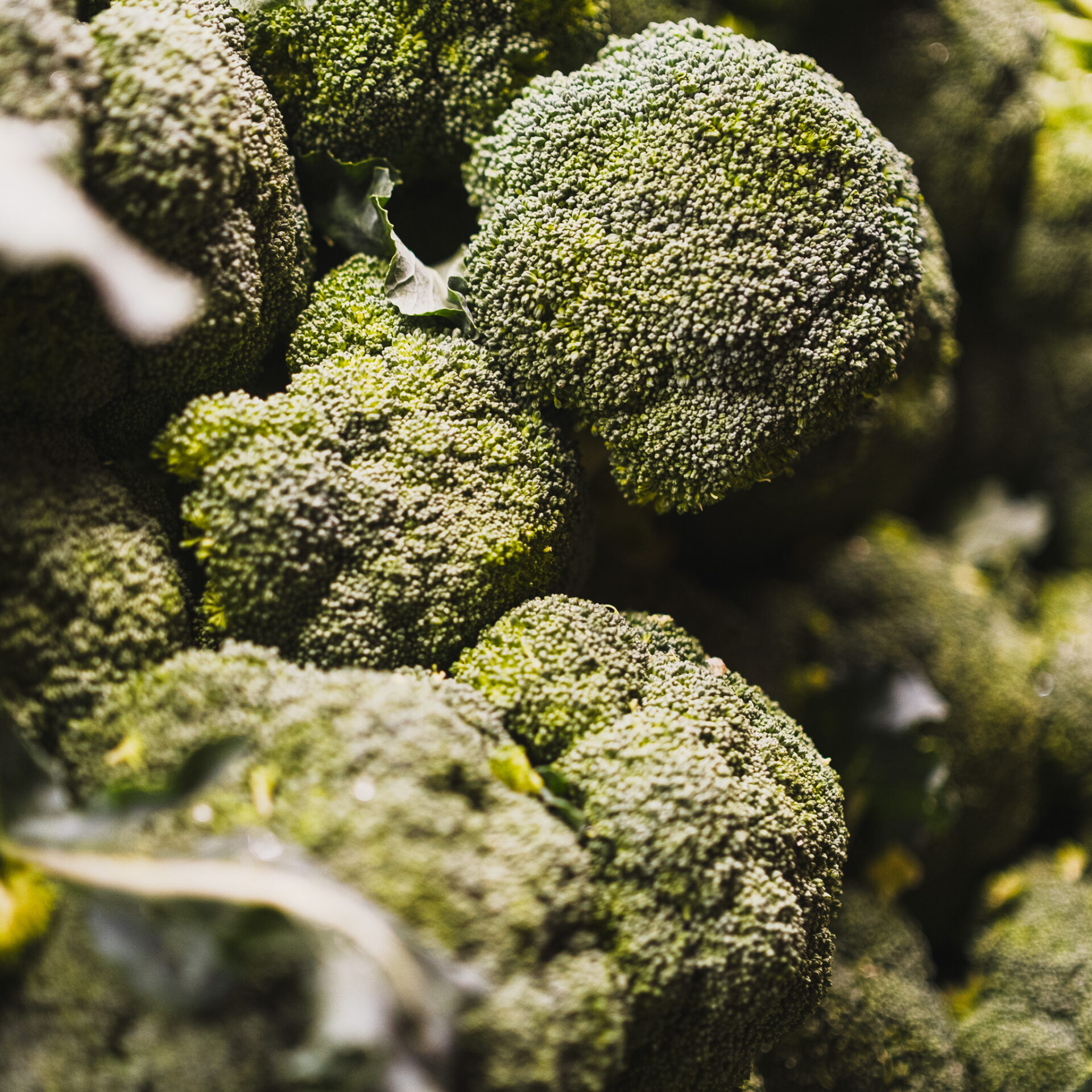 Broccoli display at the Co-op.