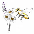 Bee Awareness Society